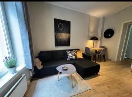 Bislett Sunny View Room Central Oslo