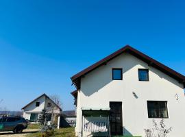 Virajlux Verde Retreat – hotel w mieście Mioveni