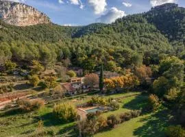 Private Provençal Estate Pool & Sauna