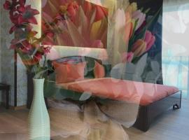 Pensiunea Junior, Hotel in Cluj-Napoca