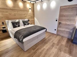 Alpin Studio Haus, Kaibling & Ski amadé, Hotel in Haus im Ennstal