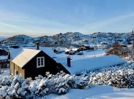 Classic mountain cabin with sauna in Ustaoset