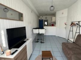 Le petit studio Rue de l'Imprimerie, hotel en Gap