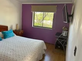 Cabañas el recreo de Angol