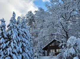Romantisches Waldhaus mit Privatsauna, Grill und Feuerschtelle, hotell i Münchsteinach