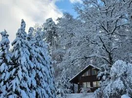 Romantisches Waldhaus mit Privatsauna, Grill und Feuerschtelle