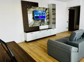 Luxury Apartment Fundeni - 2