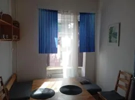 Historický apartmán se zahradou v centru Brna