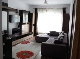 Apartament SIBIU-SELIMBAR