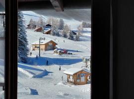 Les Myosotis, Hotel in Les Mosses