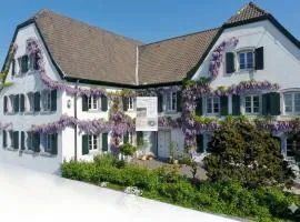 Rhein River Guesthouse - direkt am Rhein