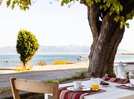 Christina House - Petalidi's Moorea Gem, готель у місті Петалідіон