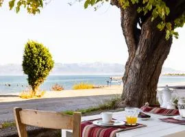 Christina House - Petalidi's Moorea Gem