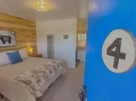 King Bear Mokee Pets OK, Shared Kitchen! #4