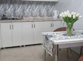 KOLO Geo
