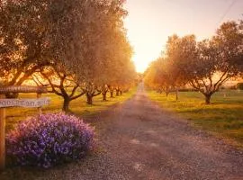 Agriturismo il Podere del Sole