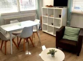 Appart cosy Annecy parking et vélos gratuit