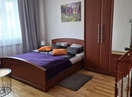 Apartament nad Nidą