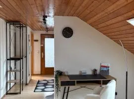 Modernes Apartment in Ochsenhausen zwischen Ulm und Memmingen