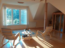 Relaxuj v centru!, hotel v Lednici