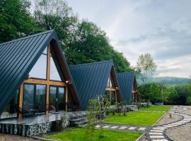 A-frame Marisa Vadu Crisului โรงแรมในวาดูกริชูลุย