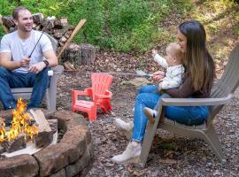King Bed Hot Tub Vinyl Records Parking Fire Pit, hotel din Ellijay