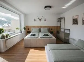 Schwarzwald Loft Bergblick