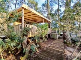 Mobil-home au cœur des pins by Siblu Les Embruns Lège Cap Ferret