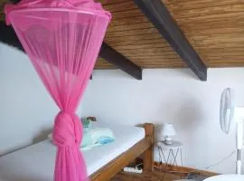 La plus grande source d'eaux chaudes "Guadeloupe"