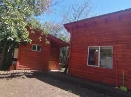 Encuentros del Colibrí Azul