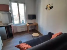 Charmant studio free parking quartier Anglais