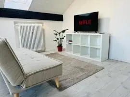 Modern Attic Loft & Balcony near Basel