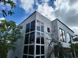 La Primaver de León