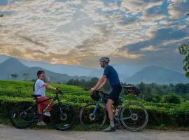 Framstay Mây Sườn Đông