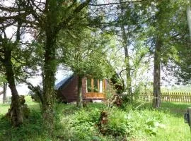 Chalet avec animaux admis, vue sur carrières - FR-1-489-141