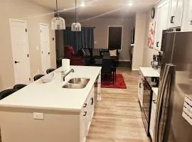 Contemporary 2BR, 2 and half BA Furnished Townhome Minutes from Mayo Clinic