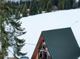 La Știubei Cabin, hótel í Mărişel