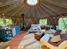 Cozy yurt on regenerative farm