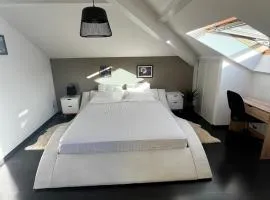 Grande chambre calme proche Genève, avec parking privé