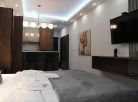 VS Exclusive Luxury Delux Studio with King Bed and Parking