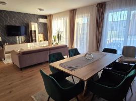 Anca House, Hotel in Baia Mare