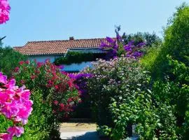 Apartmani Vanjak - 100m od plaže