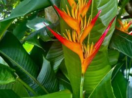 Palm Tree Garden, Hotel in Flic en Flac