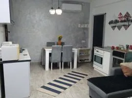 Apartman SANI