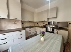 Azul Central Apartament