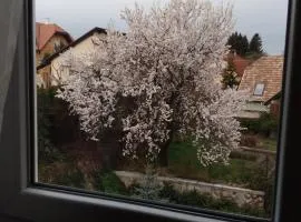 Panoráma Pihenőház