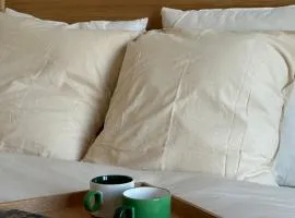 Chambre privée calme et lumineuse