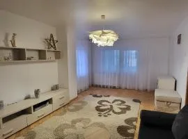 Sara Apartment Centru Râmnicu Vâlcea