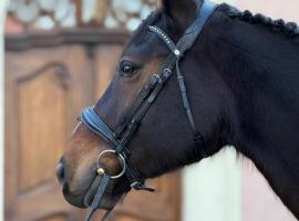 Apartament Kirkor przy Dworku Bielin, hotel i Bielin