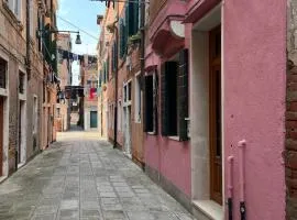 Armida Flat by Fenix